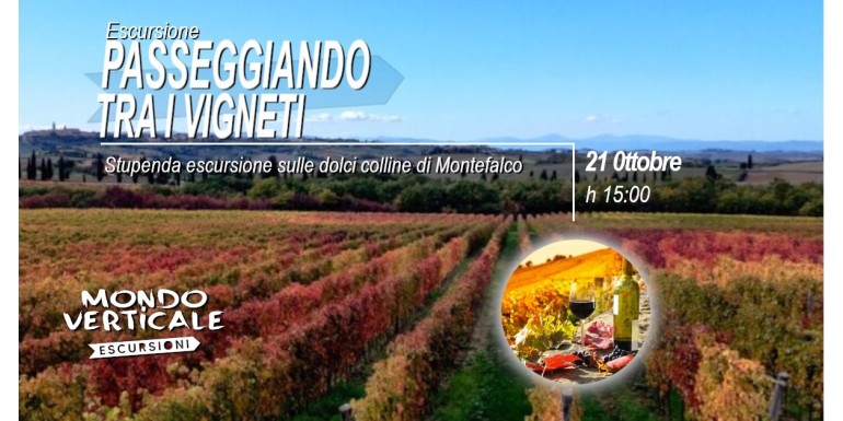 PASSEGGIANDO TRA I VIGNETI 21 OTTOBRE 