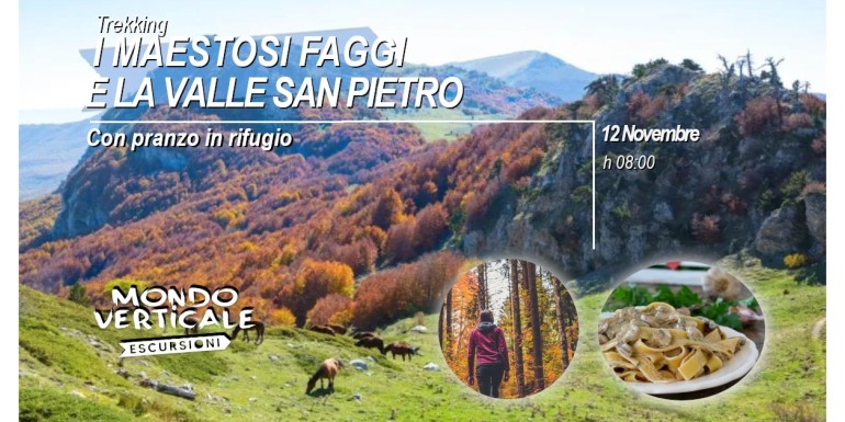 I MAESTOSI FAGGI E LA VALLE SAN PIETRO 12 NOVEMBRE