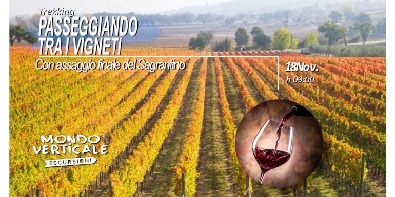 PASSEGGIANDO TRA I VIGNETI 18 OTTOBRE